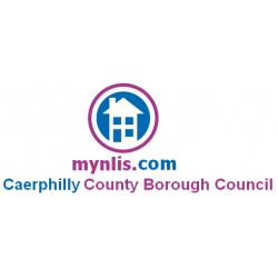 Caerphilly Regulated LLC1 and Con29 Search